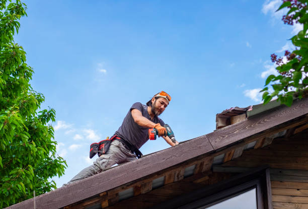 Best Gutter Installation and Repair  in Tropical Park, FL